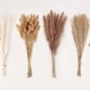 Dried Pampas Grass Decor, 100 Stems Pampas Grass Contains Bunny Tails Dried Flowers, Reed Grass Bouquet for Wedding Boho Flowers Home Table Decor, Rustic Farmhouse Party (17", White and Brown) (Copy)