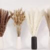 Dried Pampas Grass Decor, 100 Stems Pampas Grass Contains Bunny Tails Dried Flowers, Reed Grass Bouquet for Wedding Boho Flowers Home Table Decor, Rustic Farmhouse Party (17", White and Brown) (Copy)