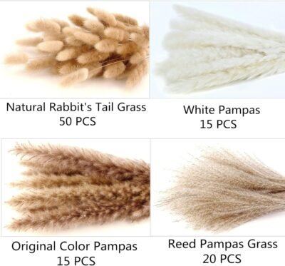 Dried Pampas Grass Decor, 100 Stems Pampas Grass Contains Bunny Tails Dried Flowers, Reed Grass Bouquet for Wedding Boho Flowers Home Table Decor, Rustic Farmhouse Party (17", White and Brown) (Copy)