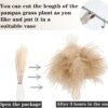 Dried Pampas Grass Decor, 100 Stems Pampas Grass Contains Bunny Tails Dried Flowers, Reed Grass Bouquet for Wedding Boho Flowers Home Table Decor, Rustic Farmhouse Party (17", White and Brown) (Copy)