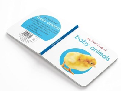 1754758274_61r3MTMkoDL._SL1500_.jpg My First Library: Boxset of 10 Board Books for Kids