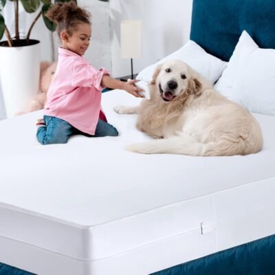 61S5mpseFWL._AC_SL1500_.jpg Utopia Bedding Zippered Mattress Encasement Queen, 100% Waterproof Bed Bug and Dust Mite Proof Mattress Protector, Absorbent Six-Sided Mattress Cover