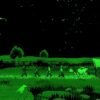 The Oregon Trail Nintendo Switch