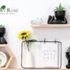 Der Rose 3pcs Fake Succulents Plants Artificial for Black Bathroom Bedroom Home Living Room Decor Aesthetic Indoor