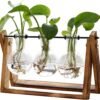 71GrAWYYDyL._AC_SL1500_.jpg XXXFLOWER Plant Terrarium with Wooden Stand, Air Planter Bulb Glass Vase Metal Swivel Holder Retro Tabletop for Hydroponics Home Garden Office Decoration - 3 Bulb Vase