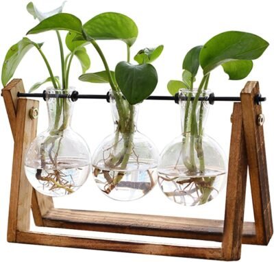 71GrAWYYDyL._AC_SL1500_.jpg XXXFLOWER Plant Terrarium with Wooden Stand, Air Planter Bulb Glass Vase Metal Swivel Holder Retro Tabletop for Hydroponics Home Garden Office Decoration - 3 Bulb Vase