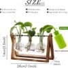 71OYteyxs7L._AC_SL1500_.jpg XXXFLOWER Plant Terrarium with Wooden Stand, Air Planter Bulb Glass Vase Metal Swivel Holder Retro Tabletop for Hydroponics Home Garden Office Decoration - 3 Bulb Vase