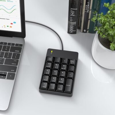 Wired Number Pad, USB Numeric Keypad 19 Key Number Keypad Keyboard for Laptop PC Computer Notebook, Big Print Letters - Black