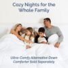 Queen Size 4 Piece Sheet Set - Comfy Breathable & Cooling Bed Sheets Set - Hotel Luxury Bedding for Women, Men, Kids & Teens - Deep Pockets, Easy Secure Fit, Soft and Wrinkle Free - Oeko-Tex - White