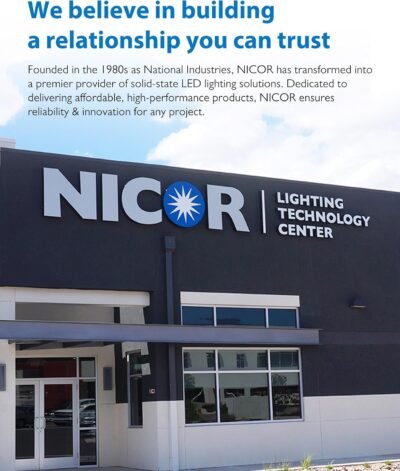 NICOR Lighting 100W Black Double Cylinder Adjustable Security Flood Light (11521)