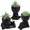 Der Rose 3pcs Fake Succulents Plants Artificial for Black Bathroom Bedroom Home Living Room Decor Aesthetic Indoor
