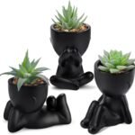 Der Rose 3pcs Fake Succulents Plants Artificial for Black Bathroom Bedroom Home Living Room Decor Aesthetic Indoor