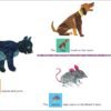 World of Eric Carle, Around the Farm 30-Button Animal Sound Book - Great for First Words - PI Kids