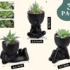Der Rose 3pcs Fake Succulents Plants Artificial for Black Bathroom Bedroom Home Living Room Decor Aesthetic Indoor