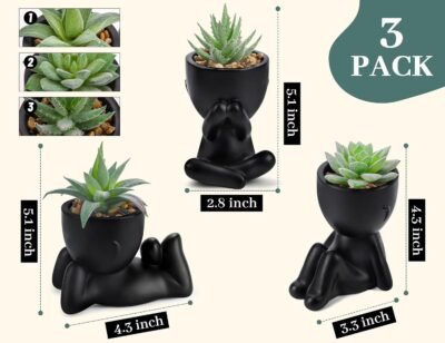 Der Rose 3pcs Fake Succulents Plants Artificial for Black Bathroom Bedroom Home Living Room Decor Aesthetic Indoor