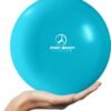 ProBody Pilates Ball 9 Inch - Small Exercise Ball for Stability, Barre, Core, Ab Workouts, Yoga, & Physical Therapy