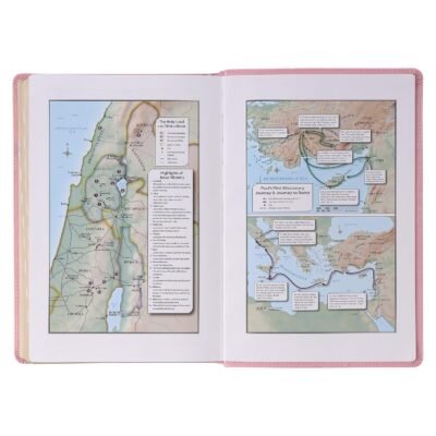 81rN2uk6vdL._SL1500_.jpg KJV Holy Bible, Giant Print Full-size Faux Leather Red Letter Edition - Thumb Index & Ribbon Marker, King James Version, Pink (KJV Full Size GP Editions)