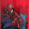 81tZpayI6UL._AC_SL1500_.jpg Zak Designs Marvel SpiderMan Kids Spout Cover and Built-in Carrying Loop Made of Plastic, Leak-Proof Water Bottle Design (BPA-Free), Red, 16oz
