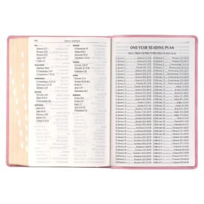 81ua-P2-C8L._SL1500_.jpg KJV Holy Bible, Giant Print Full-size Faux Leather Red Letter Edition - Thumb Index & Ribbon Marker, King James Version, Pink (KJV Full Size GP Editions)
