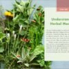 The Big Book of Herbal Medicine: 300 Natural Remedies for Health and Wellness