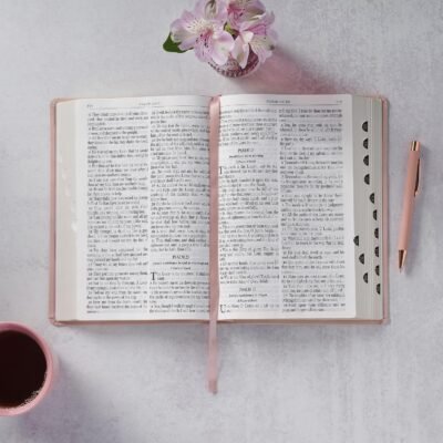 91JkyO2i4iL._SL1500_.jpg KJV Holy Bible, Giant Print Full-size Faux Leather Red Letter Edition - Thumb Index & Ribbon Marker, King James Version, Pink (KJV Full Size GP Editions)