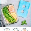 91PMXhAOqyL._AC_SL1500_.jpg Healthy Packers Ice Packs for Lunch Boxes & Coolers - Freezer Packs - Original Cool Pack | Cooler Accessories for Beach, Camping & Fishing | Slim & Long-Lasting Reusable Ice Pack for Cooler