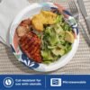 Dixie Large Paper Plates, 10 Inch, 204 Count, 2X Stronger*, Microwave-Safe, Soak-Proof, Cut Resistant, Disposable Plates For Everyday Breakfast, Lunch, & Dinner Meals