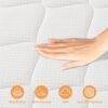 Queen Mattress, 12 Inch Memory Foam Hybrid Mattress in a Box, Medium Firm and Individually Pocket Springs - Pressure Relief, CertiPUR-US Certified, Motion Isolation